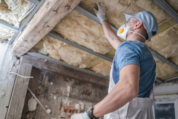 Professional Insulation Contractor in AK